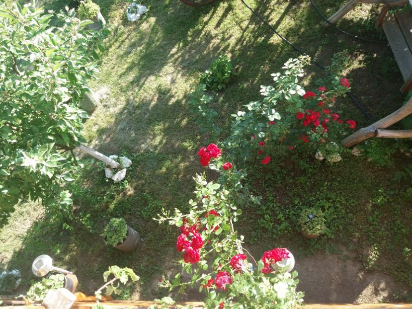  - vara 2019 in curte