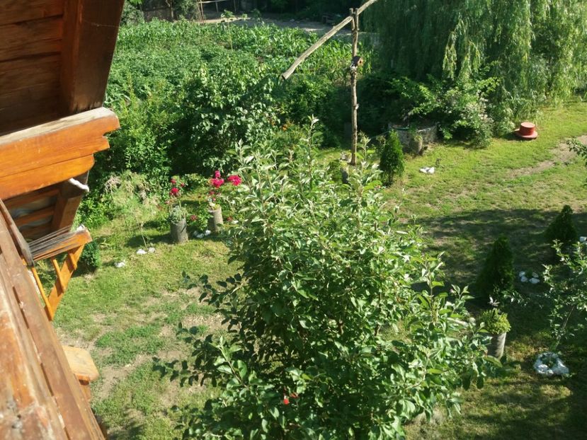  - vara 2019 in curte