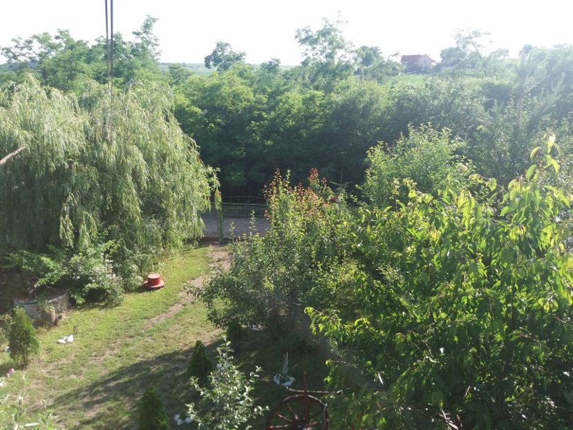  - vara 2019 in curte