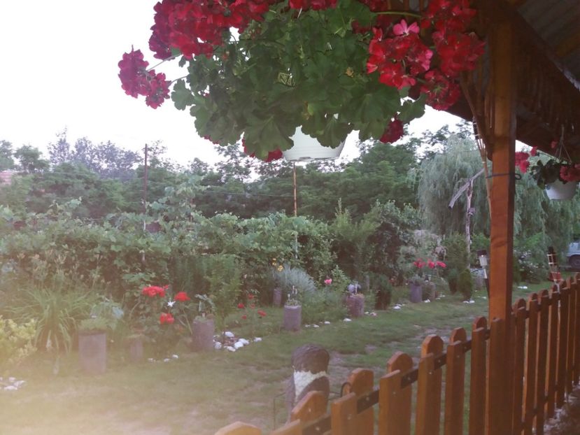  - vara 2019 in curte