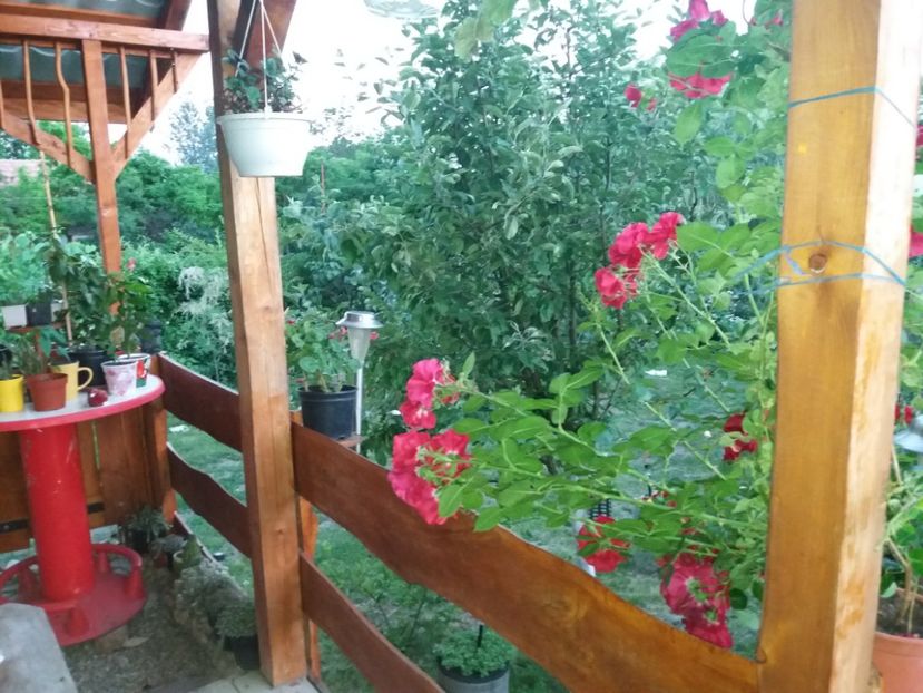  - vara 2019 in curte