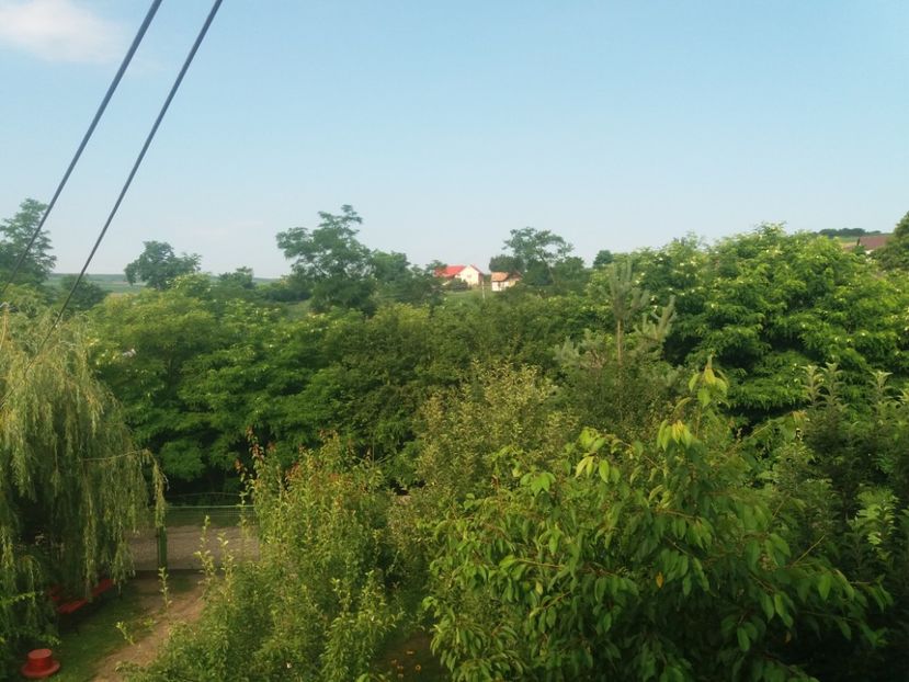  - vara 2019 in curte