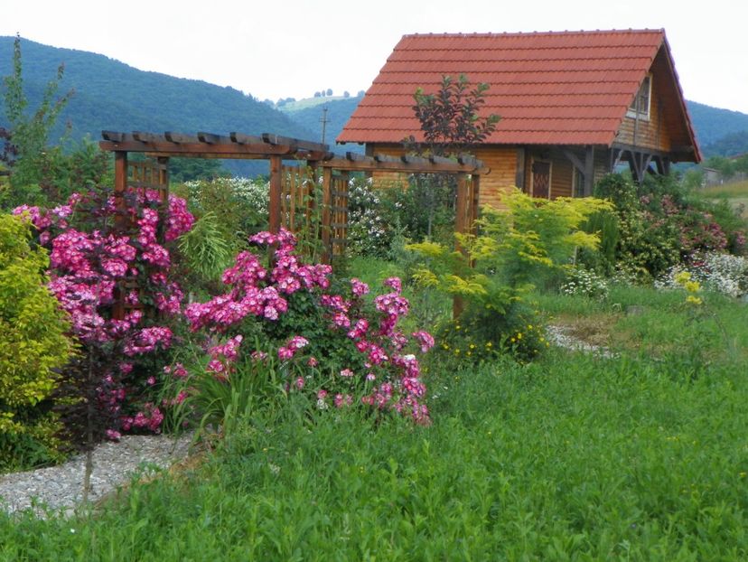 American Pillar - Dobarland 2019 3