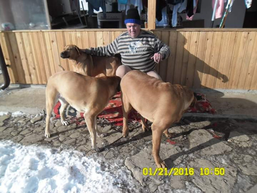  - 1 CATELUSELE NOASTRE