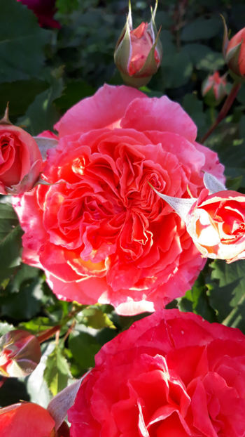  - EMILIEN GUILLOT Guillot 3