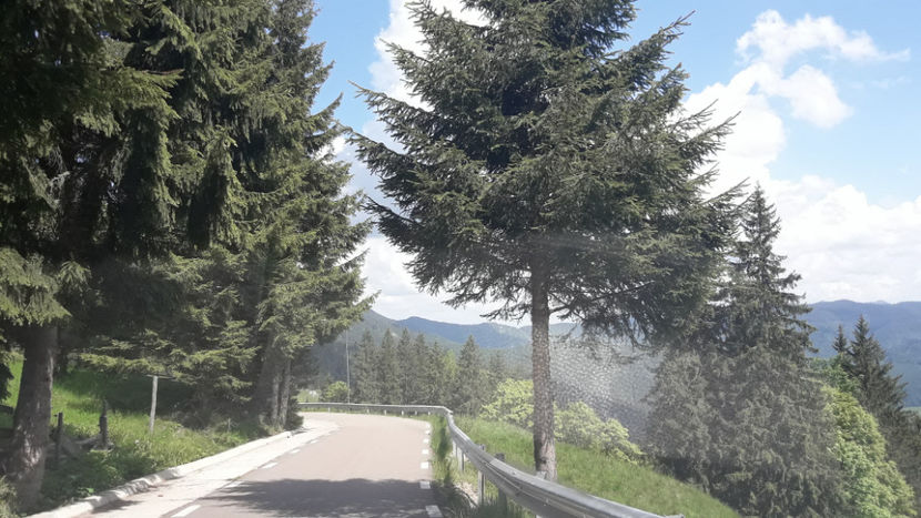 Transrarăul. - Vacanța 2019 1