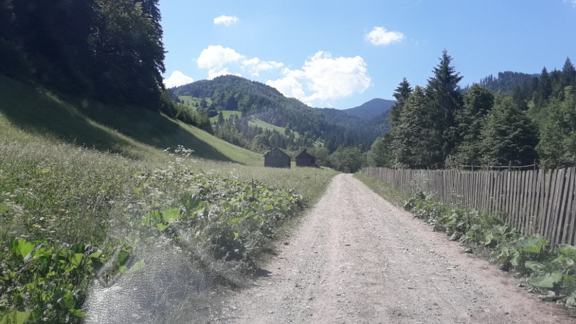 Spre Cheile Moara dracului. - Vacanța 2019 1