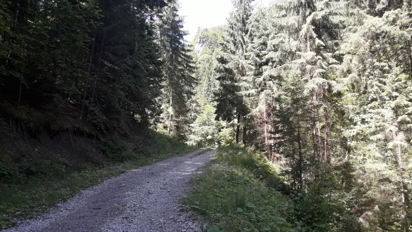 Spre Cheile Moara dracului. - Vacanța 2019 1