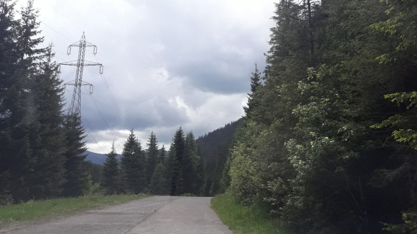 Prin Munții Călimani. - Vacanța 2019 1