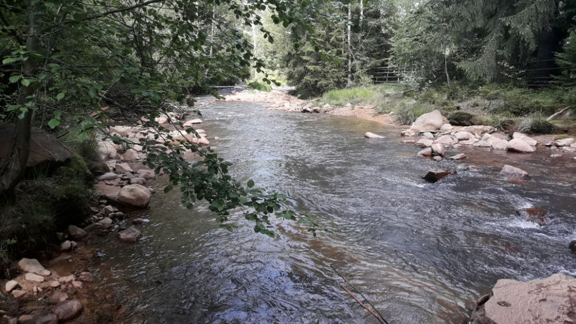 În Munții Călimani. - Vacanța 2019 1