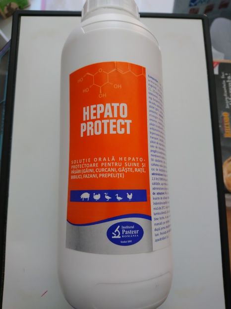 HEPATO PROTECT 1 L 58,5 RON - HEPATO PROTECT 1 L - 58 RON SI 50 DE BANI