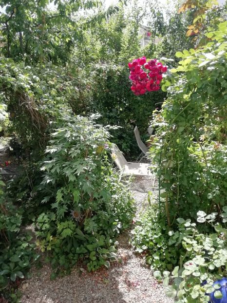  - Gradina 2019