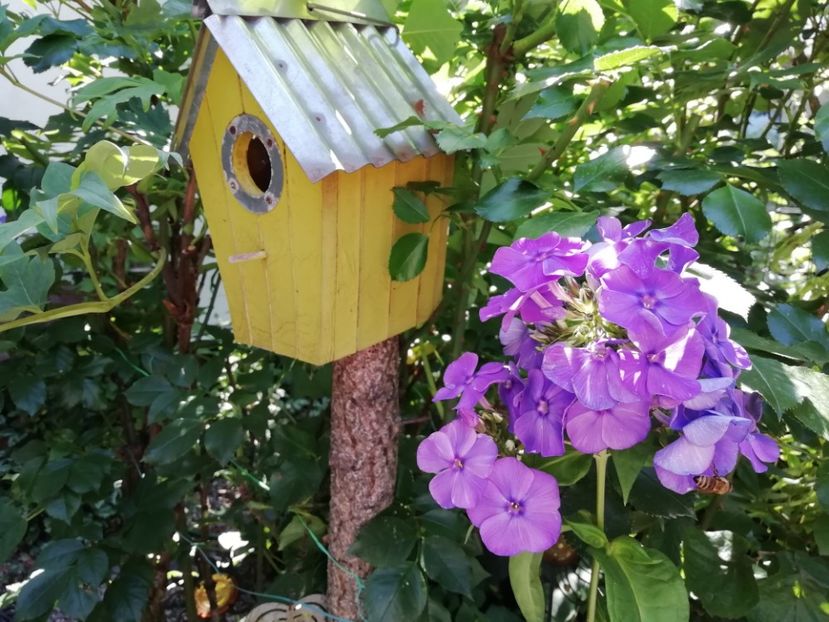  - Gradina 2019