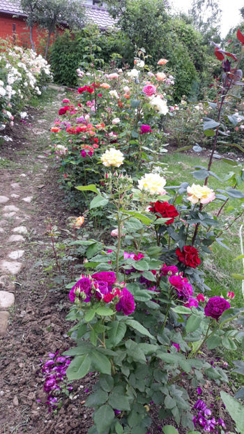  - 1 CASUTA DIN POVESTI SI GRADINA IUNIEI