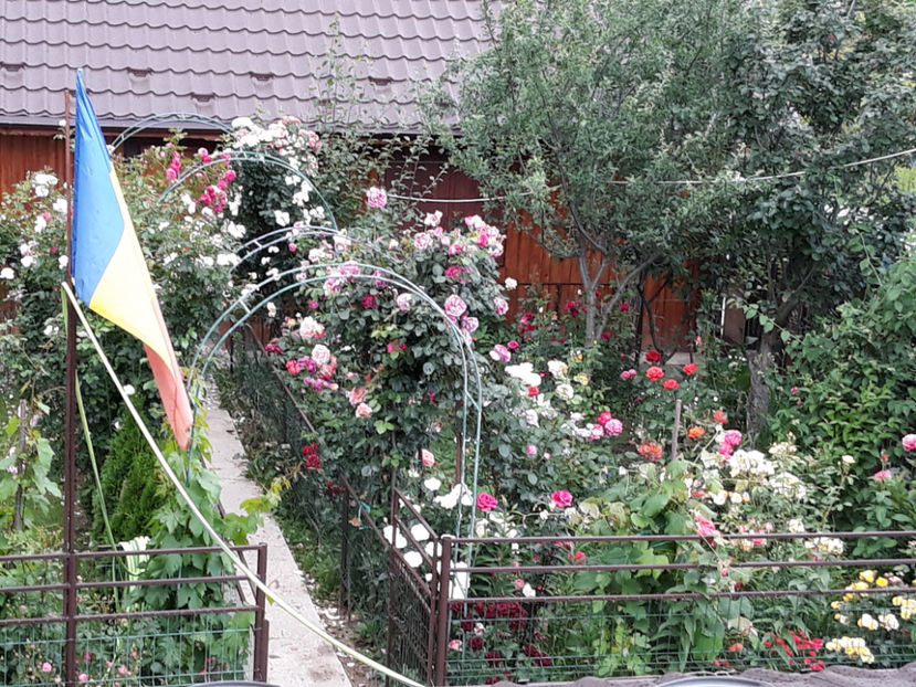  - 1 CASUTA DIN POVESTI SI GRADINA IUNIEI