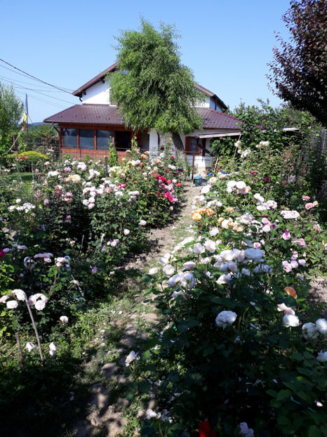  - 1 CASUTA DIN POVESTI SI GRADINA IUNIEI