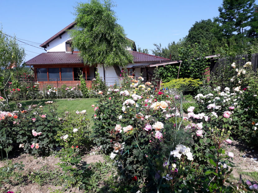  - 1 CASUTA DIN POVESTI SI GRADINA IUNIEI