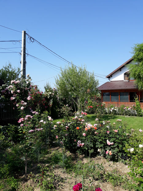  - 1 CASUTA DIN POVESTI SI GRADINA IUNIEI
