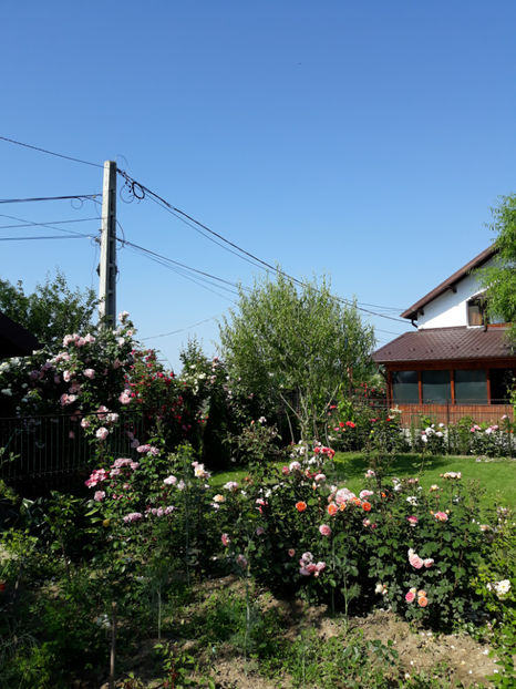  - 1 CASUTA DIN POVESTI SI GRADINA IUNIEI