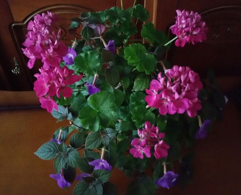 20190629_195940-1 - 2019