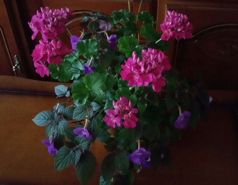 20190629_195922-1 - 2019