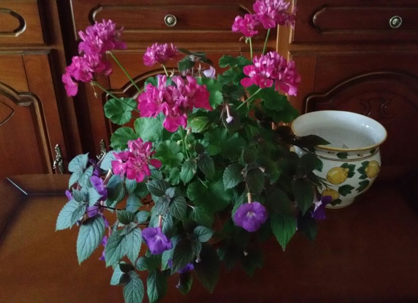 20190629_195845-1 - 2019