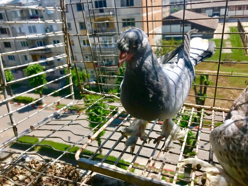 68AA6FDB-4A90-4805-B825-D3C10CEA5287 - Pui Takla