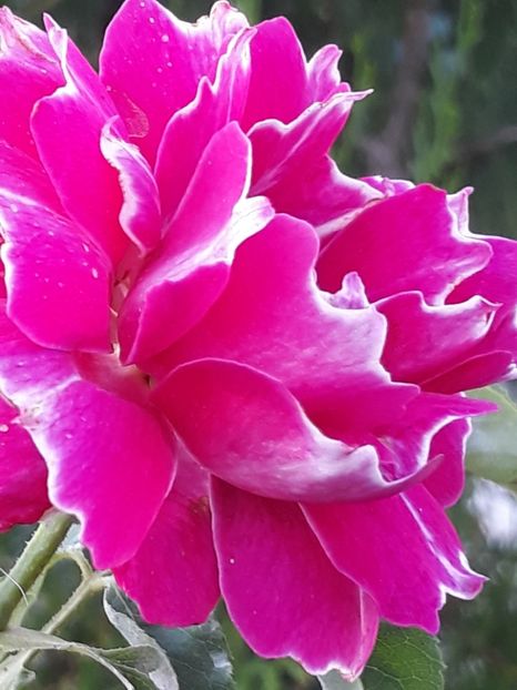  - Sfarsit de Iunie!2019