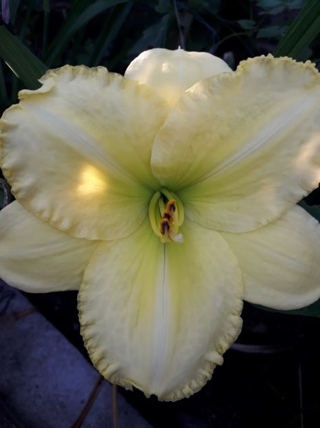  - Talmeș balmeș 2019