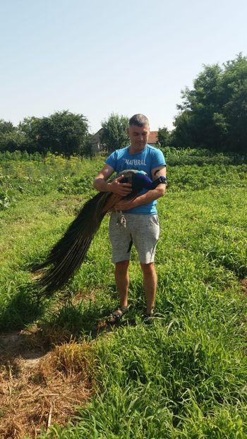 IMG-20190630-WA0000 - PAUNI