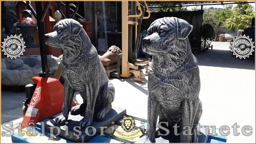 Image00486 - Decorațiuni de grădină din beton aditivat