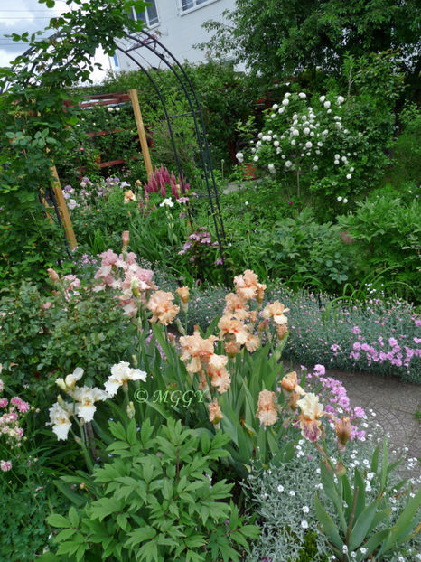 © - 2019 - 02 - Vara