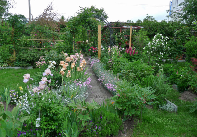 © - 2019 - 02 - Vara