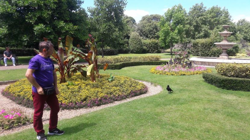  - Iulie 2019 Londra