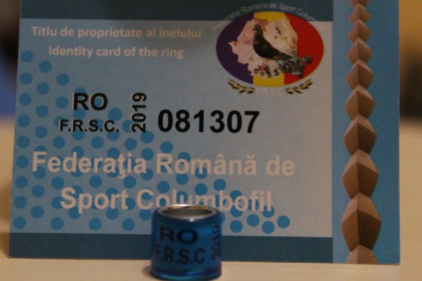 F.R.S.C. 2O19 RO - COLECTIE  DE INELE   ROMANIA