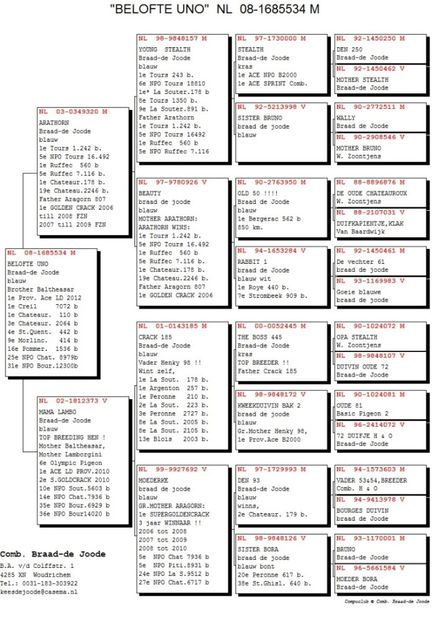 NL08-1685534_ped - 2019-06-29-Intarire matca