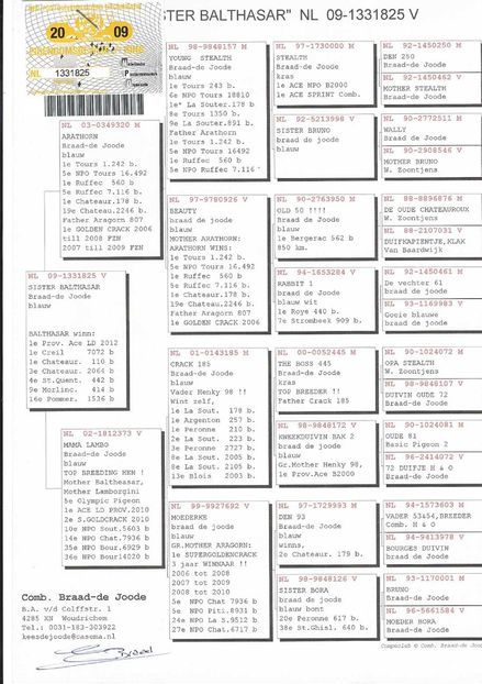 NL09-1331825 - 2019-06-29-Intarire matca