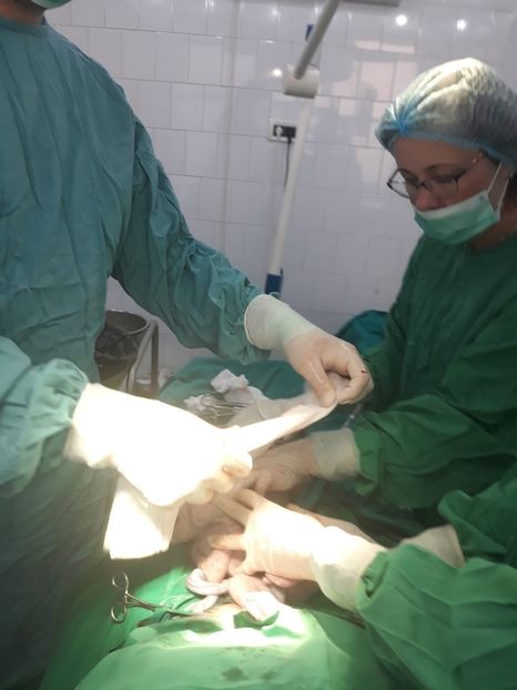 IMG-20190618-WA0016 - Gemenei