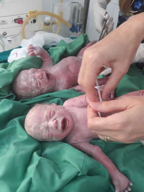 IMG-20190618-WA0029 - Gemenei