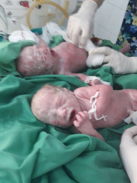 IMG-20190618-WA0027 - Gemenei