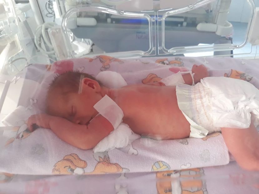 IMG-20190623-WA0070 - Gemenei