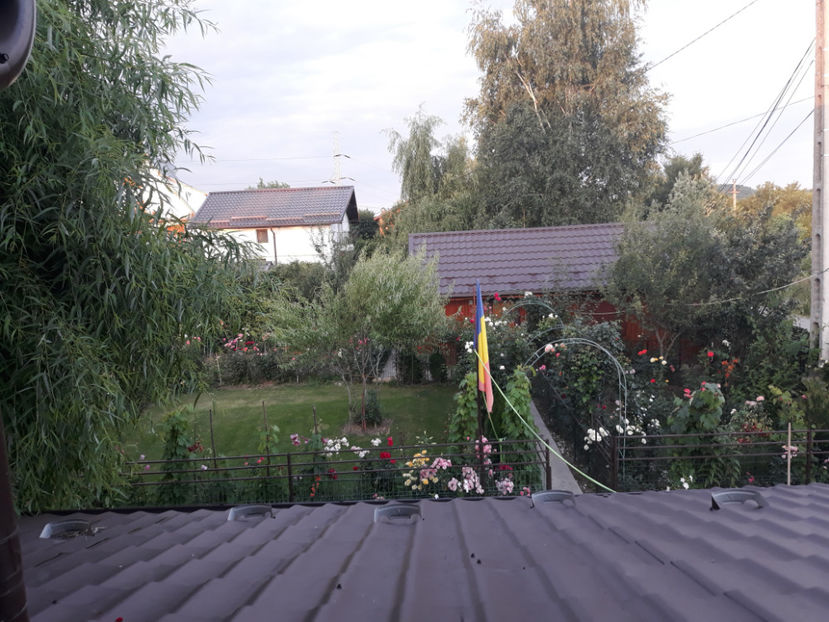 - 1 CASUTA DIN POVESTI SI GRADINA IUNIEI