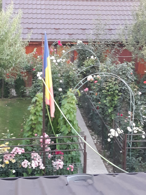  - 1 CASUTA DIN POVESTI SI GRADINA IUNIEI