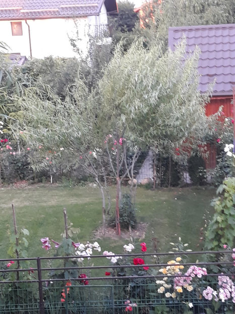  - 1 CASUTA DIN POVESTI SI GRADINA IUNIEI