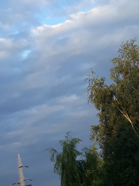  - 1 CASUTA DIN POVESTI SI GRADINA IUNIEI
