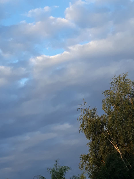  - 1 CASUTA DIN POVESTI SI GRADINA IUNIEI