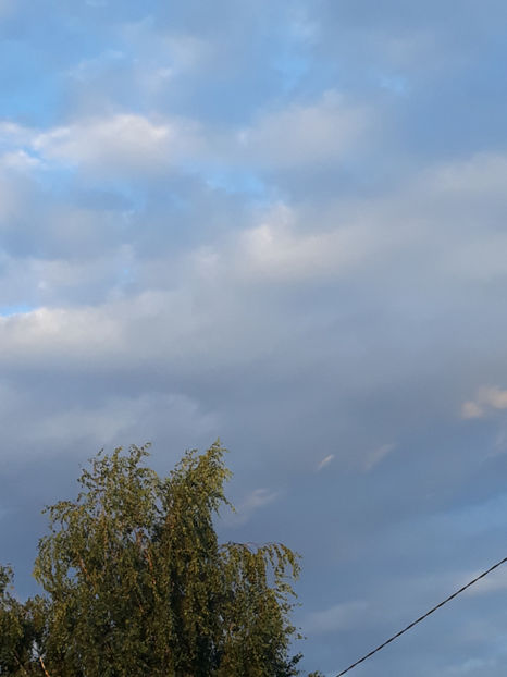  - 1 CASUTA DIN POVESTI SI GRADINA IUNIEI