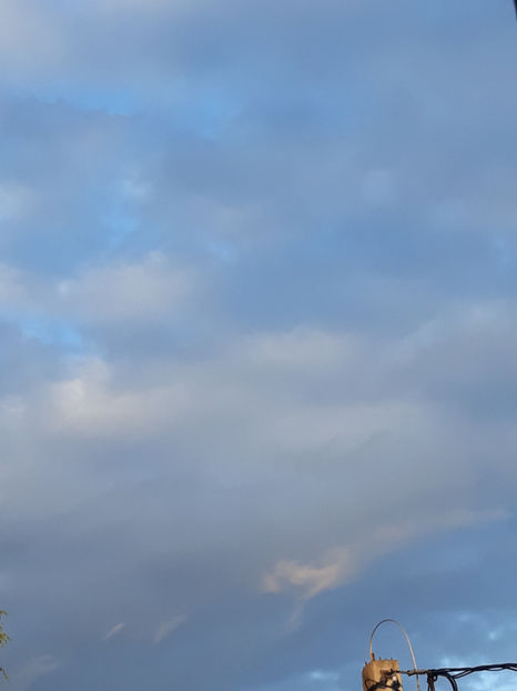  - 1 CASUTA DIN POVESTI SI GRADINA IUNIEI