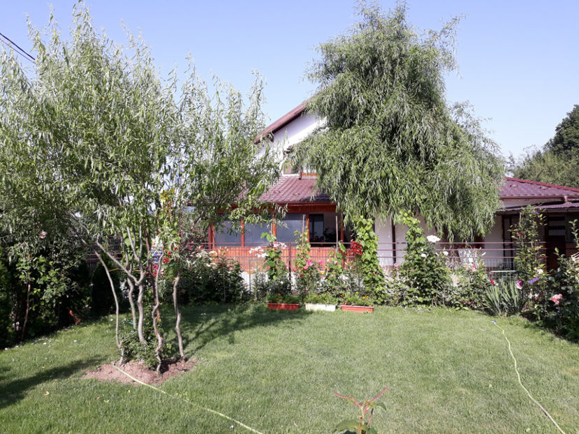  - 1 CASUTA DIN POVESTI SI GRADINA IUNIEI