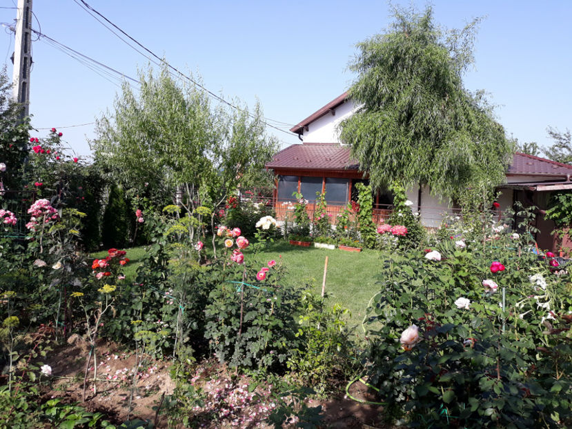  - 1 CASUTA DIN POVESTI SI GRADINA IUNIEI